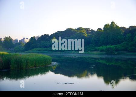 Séoul, Corée du Sud - 2 juin 2023 : une vue matinale paisible sur le lac Mongchon dans le parc olympique, entouré de verdure luxuriante et des vestiges cachés de mon Banque D'Images