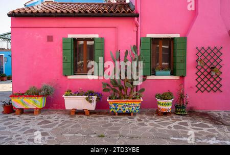 Pots de fleurs devant façade de maison rose avec fenêtres, maisons colorées, ruelles sur l'île de Burano, Venise, Vénétie, Italie Banque D'Images