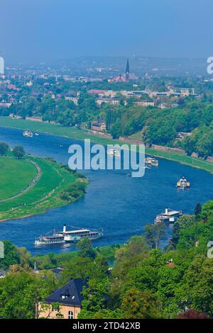 Défilé de bateaux à vapeur sur l'Elbe Banque D'Images