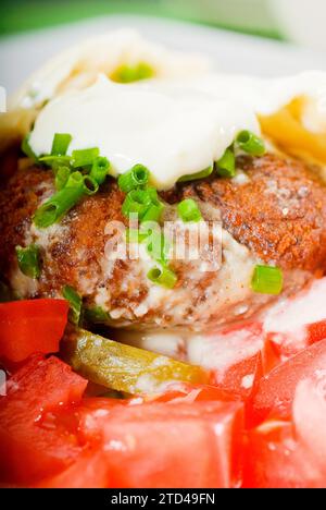 Enveloppement traditionnel frais de falafel sur pain pita avec des tomates fraîches hachées, Photographie alimentaire Banque D'Images