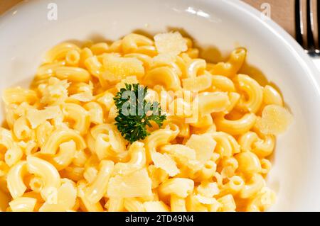Macaroni frais original de style américain et fromage avec persil sur le dessus, tipycal cuisine américaine, photographie de nourriture, photographie de nourriture Banque D'Images