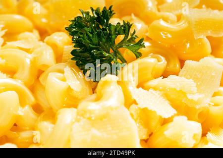 Macaroni frais original de style américain et fromage avec persil sur le dessus, tipycal cuisine américaine, photographie de nourriture, photographie de nourriture Banque D'Images