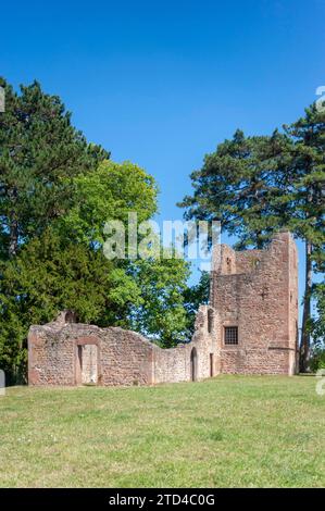 Ruines de l'église St-Jean-Baptiste dans le parc Munsterling, Obernai, Alsace, France Banque D'Images