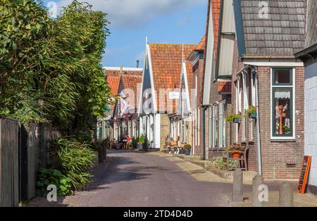 Lane à Oosterend, île de Texel en mer du Nord, Hollande du Nord, pays-Bas Banque D'Images