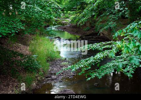 Ruisseau, jardin du château, Manetin, Manetin, région de Pilsen, République tchèque, Manetin, Manetin, Bohême occidentale, République tchèque Banque D'Images