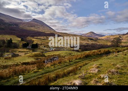 Vues sur Blarmacfoldach avec des moutons, près de Ben Nevis, Highlands, Écosse. Banque D'Images