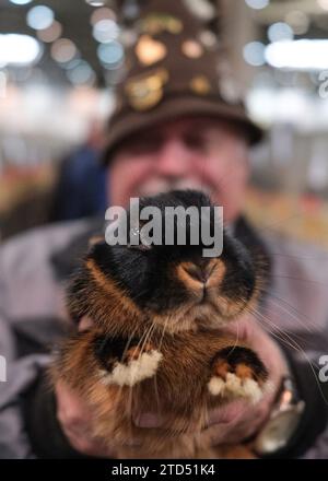 Dpatop - 16 décembre 2023, Saxe, Leipzig : Emil Wetzter, éleveur bavarois, tient un lapin de race 'Farbenzwerge'. L'animal fait partie du 36e Federal Rabbit Show, où les éleveurs de toute l'Allemagne exposeront environ 25 000 lapins jusqu'à dimanche (17.12.2023). Photo : Sebastian Willnow/dpa Banque D'Images