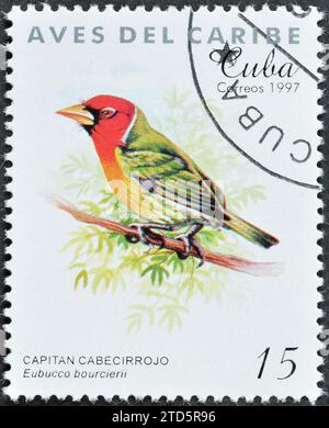 Timbre-poste annulé imprimé par Cuba, qui montre Barbet à tête rouge (Eubucco bourcierii), Caribbean Birds, circa 1997. Banque D'Images