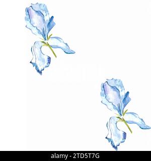 Aquarelle bleu iris motif sans couture. Illustration dessinée à la main avec des fleurs printanières pastel pour la conception textile ou papier d'emballage. Texture pour l'impression Banque D'Images