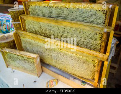 Voronezh, Russie - 10 septembre 2021 : cadres de nids d'abeilles avec du miel sur le comptoir Banque D'Images