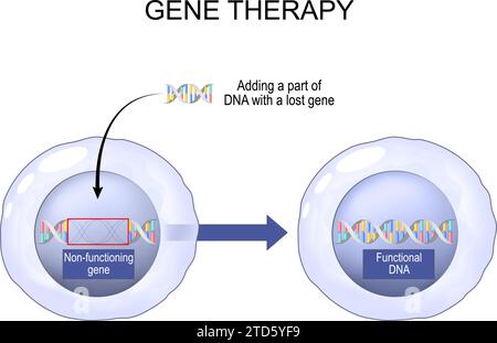 Thérapie génique. Technique médicale manipulation de l'expression génique pour modifier les propriétés biologiques des cellules vivantes. Génie génétique. Génome E. Illustration de Vecteur