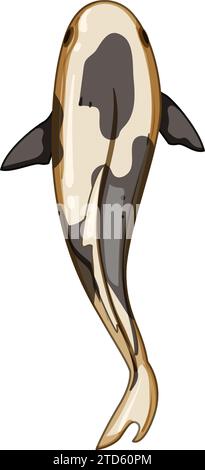 illustration vectorielle de carpe de poisson de koi d'étang Illustration de Vecteur