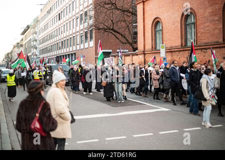 AM 16. Dezember 2023 versammelten sich zahlreiche Teilnehmer*innen auf dem Königsplatz in München, Deutschland UM gemeinsam für einen sofortigen Waffenstillstand im sog. Nah-Ost-Konflikt zu demonstrieren und UM ihre Solidarität mit Palästina zu zeigen. SIE trauerten UM die Toten in Palästina und forderten Frieden für Gaza und einen Stopp des Krieges. -- le 16 décembre 2023, plusieurs participants se sont rassemblés sur la Koenigsplatz à Munich, en Allemagne, pour manifester ensemble pour un cessez-le-feu immédiat au Moyen-Orient et pour manifester leur solidarité avec les Palestiniens. Ils pleuraient les victimes en Palestine, Banque D'Images