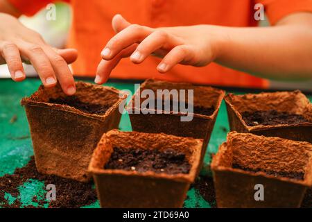 Gros plan des mains d'enfant plantant des graines. Nature et éducation. Compétences pratiques. Engagement de l'enfant avec le jardinage. Banque D'Images