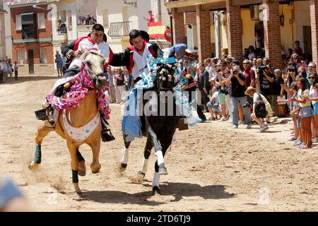 Carpio de Tajo (Tolède), 07/25/2015. Fête du Saint patron de Santiago Apóstol à Carpio de Tajo. Dans l'image, courses hippiques attelées. Photo : Ana Pérez Herrera ARCHDC. Crédit : Album / Archivo ABC / Ana Pérez Herrera Banque D'Images