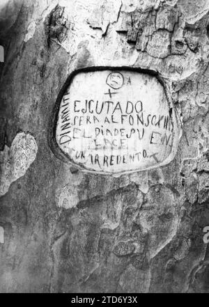 L'attaque contre les Rois. Inscription qui est apparue le 26 mai 1906 sur un arbre à Retiro, annonçant l'attaque contre le Roi, sans qu'elle ait été rendue publique jusqu'à hier. Crédit : Album / Archivo ABC / Francisco Goñi Banque D'Images