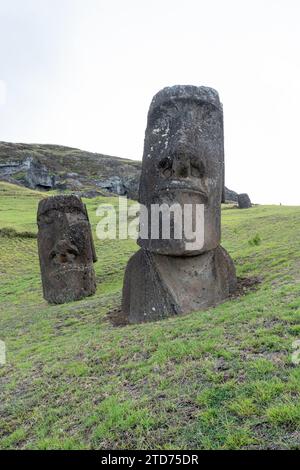 Moai se dirige sur la pente de Rano Raraku sur l'île de Pâques (Rapa Nui), au Chili. Banque D'Images