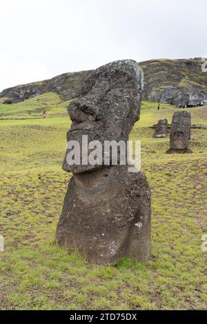 Moai se dirige sur la pente de Rano Raraku sur l'île de Pâques (Rapa Nui), au Chili. Banque D'Images