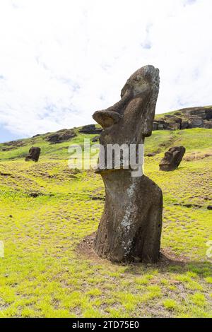 Moai se dirige sur la pente de Rano Raraku sur l'île de Pâques (Rapa Nui), au Chili. Banque D'Images