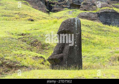 Île de Pâques, Chili - 28 février 2023 : Moai se dirige sur la pente de Rano Raraku sur l'île de Pâques (Rapa Nui), Chili. Banque D'Images