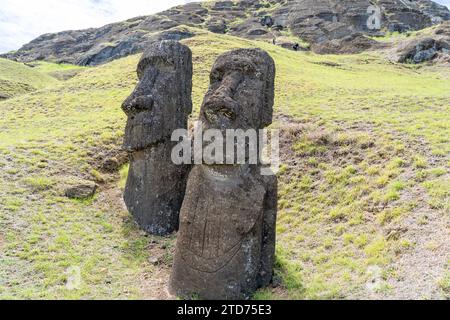 Moai se dirige sur la pente de Rano Raraku sur l'île de Pâques (Rapa Nui), au Chili. Banque D'Images