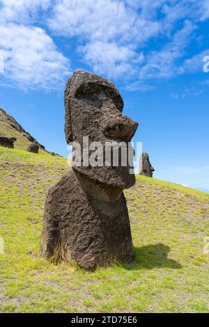 Moai se dirige sur la pente de Rano Raraku sur l'île de Pâques (Rapa Nui), au Chili. Banque D'Images