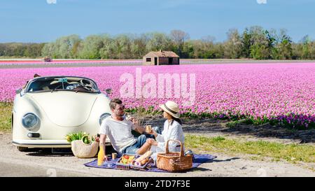 Couple sur un roadtrip aux pays-Bas avec une vieille voiture vintage, des hommes et une femme ayant un pique-nique avec sur le fond un champ de fleurs roses au printemps Banque D'Images