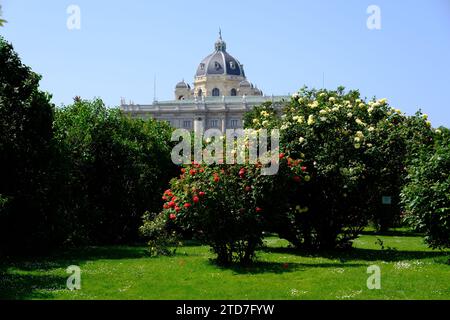 Vienne Autriche - jardin de roses - jardin du peuple - fleurs de rose buisson Banque D'Images