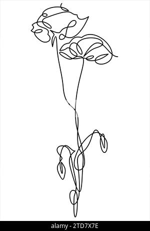 Poppy. Ligne continue - vecteur Illustration de Vecteur