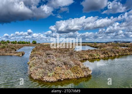 Reserva Natural do Sapal de Castro Marim e Vila Real de Santo António Banque D'Images