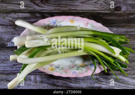 Échalotes, oignons verts, légumes dérivés de diverses espèces du genre Allium. Les échalotes ont généralement un goût plus doux que la plupart des oignons Banque D'Images