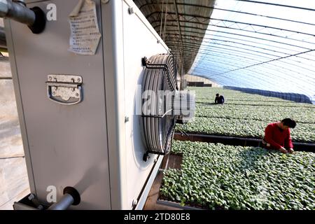 ZAOZHUANG, CHINE - 17 DÉCEMBRE 2023 - Un agriculteur installe un équipement de chauffage dans une serre pour assurer la croissance normale de ses plants de légumes à A. Banque D'Images