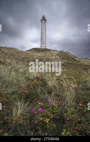 Célèbre phare de Lyngvig dans le Jutland, Danemark Banque D'Images
