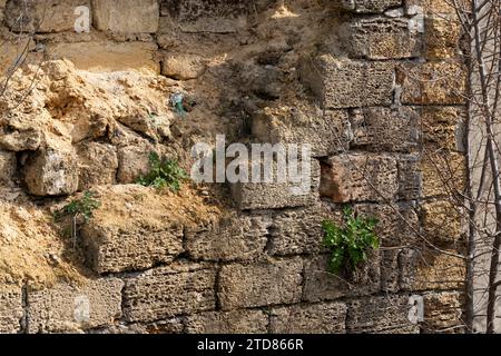 Mur cassé d'une vieille maison à proximité, traces de climatologie. Texture de mur fissurée avec trou. Mur de pierre de brique de bâtiment de la maison de roche de coquille destro Banque D'Images