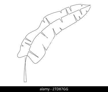 Illustration de vecteur de contour de feuille de bananier tropical isolé sur fond blanc. Illustration de Vecteur