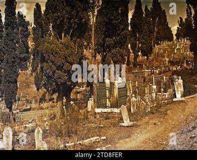 Constantinople (actuel Istanbul), Turquie dans le cimetière de Eyüp, religion, nature, Environnement, tombe, cimetière, Islam, végétation, botanique, Turquie, Eyoub, le cimetière, Istanbul, 01/09/1912 - 30/09/1912, Passet, Stéphane, photographe, 1912 - Turquie - Stéphane Passet - (septembre), Autochrome, photo, verre, Autochrome, photo, positif, horizontal, taille 9 x 12 cm Banque D'Images