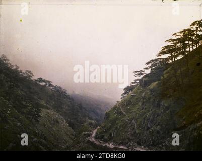 Massif de Taishan, Chine Duisongshan ('montagne face aux pins'), également appelé Wansongshan ('montagne de dix mille pins'), nature, Environnement, religion, Paysage, Mont, montagne, Taoïsme, pèlerinage, PIN, voie sacrée, gorge, végétation, botanique, Chantung, Tai Chan, le sentier à mi-hauteur, Taishan (massif du), 09/06/1913 - 09/06/1913, Passet, Stéphane, photographe, 1913 - Chine - Stéphane Passet, Autochrome, photo, verre, Autochrome, photo, positif, horizontal, taille 9 x 12 cm Banque D'Images