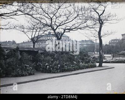 Paris (IVE arr.), France le marché aux fleurs de l'Île de la Cité, place Louis-Lépine, activité économique, Art, Île, marché, foire, fleur, place, théâtre, France, Paris, le marché aux fleurs, Île de la Cité, 02/05/1918 - 02/05/1918, Léon, Auguste, photographe, autochrome, photo, verre, autochrome, photo, positif, horizontal, taille 9 x 12 cm Banque D'Images