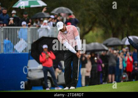 Orlando, États-Unis. 16 décembre 2023. ORLANDO, FL 16 DÉCEMBRE - Tiger Woods putts au 18e trou lors de la première manche du championnat PNC au Ritz-Carlton Golf Club à Orlando. (Photo de Rick Munroe/Sipa USA) crédit : SIPA USA/Alamy Live News Banque D'Images