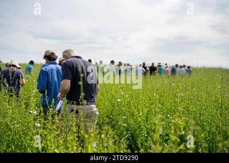 groupe d'agriculteurs faisant une promenade de culture apprenant la santé des cultures et l'agronomie d'un agronome agricole en australie Banque D'Images