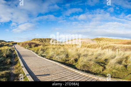 Un panorama multi-image d'une promenade en planche à travers les dunes de sable à Formby menant à la magnifique plage et le littoral. Banque D'Images