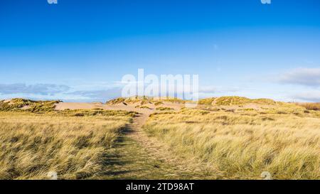 Un panorama multi-images du ciel bleu clair au-dessus des hautes dunes de sable qui bordent la côte à Formby près de Liverpool. Banque D'Images