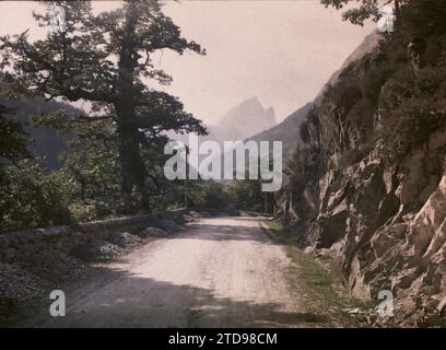Eaux-chaudes, basses-Pyrénées, France, nature, Environnement, paysage, Mont, montagne, route, arbre remarquable, végétation, botanique, France, le pic du midi vu du 'Chêne de l'Ours', eaux-chaudes, 01/01/1920 - 31/12/1921, Cuville, Fernand, 1920-1921 - Charente, Gironde, Basse-Pyrénées, Hautes Pyrénées - Fernand Cuville, Autochrome, photo, verre, Autochrome, photo, positive Banque D'Images