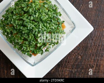 Raab de Brocoli (Brassica rapa var. cymosa) sprouts Banque D'Images