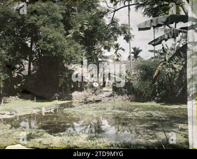 Environs de Hà-nôi, Hainoi Vietnam, Tonkin, Indochine au bord d'un étang dans un village, vie quotidienne, vie rurale, Plan d'eau, Indochine, Hà-nôi, Hainoi Vietnam [région], 01/01/1921 - 31/12/1921, Busy, Léon, Léon Busy photographe en Indochine, Autochrome, photo, verre, Autochrome, photo, positif, horizontal, taille 9 x 12 cm Banque D'Images