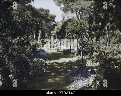 Cap Martin, France Elément bâti du jardin de la Villa Cypris, au bout d'un chemin herbeux et fleuri, personnalité, Habitat, Architecture, nature, environnement, personnalité d'entreprise, PIN, prairie de fleurs, Arum, architecture de jardin, vase, fleur, Villa, Parc, jardin, verger, végétation, botanique, France, Cape Town. Martin, propriété de Mme Douine - dans le jardin, Roquebrune-Cap-Martin, 10/04/1927 - 12/04/1927, Léon, Auguste, photographe, 1927 - Cap Martin - Auguste Léon - (Mars-avril), Autochrome, photo, verre, Autochrome, photo, positif, horizontal, taille 9 x 12 cm Banque D'Images