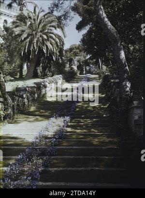 Cap Martin, France Grand escalier dans le jardin de la Villa Cypris orné d'une cascade de fleurs bleues, personnalité, Habitat, Architecture, nature, environnement, personnalité d'entreprise, Palmeraie, Palmeraie, PIN, escalier, vase, fleur, Villa, Parc, jardin, végétation, botanique, France, le Cap. Martin, propriété de Mme Douine - Grand escalier fleuri, Roquebrune-Cap-Martin, 10/04/1927 - 12/04/1927, Léon, Auguste, photographe, 1927 - Cap Martin - Auguste Léon - (Mars-avril), Autochrome, photo, verre, Autochrome, photo, positif, vertical, taille 9 x 12 cm Banque D'Images