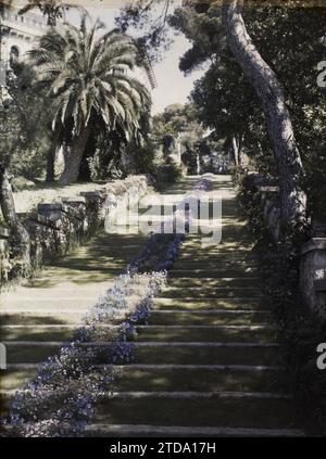 Cap Martin, France perspective montante sur le grand escalier fleuri dans le jardin de la villa Cypris, personnalité, Habitat, Architecture, nature, environnement, personnalité d'entreprise, Palmeraie, Palmeraie, PIN, escalier, vase, fleur, Villa, Parc, jardin, végétation, botanique, France, le Cap. Martin, propriété de Mme Douine - escalier fleuri, Roquebrune-Cap-Martin, 10/04/1927 - 12/04/1927, Léon, Auguste, photographe, 1927 - Cap Martin - Auguste Léon - (Mars-avril), Autochrome, photo, verre, Autochrome, photo, positif, vertical, taille 9 x 12 cm Banque D'Images