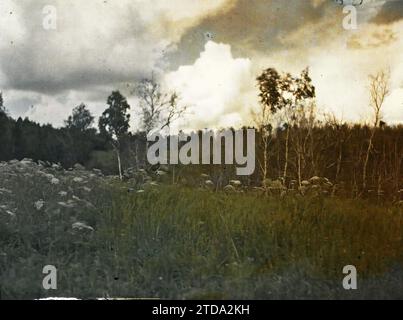 Entre Kiakhta et Ourga, Transbaïkalie, Mongolie paysage de type sibérien, nature, Environnement, paysage, végétation, botanique, Chine, Mongolie - Paysage sibérien, Transbaïkalie, 01/07/1913 - 31/07/1913, Passet, Stéphane, photographe, 1913 - Mongoly, Mongolie - Stéphane Passet - (6-25 juillet), Autochrome, photo, verre, Autochrome, photo, positif, horizontal, taille 9 x 12 cm Banque D'Images