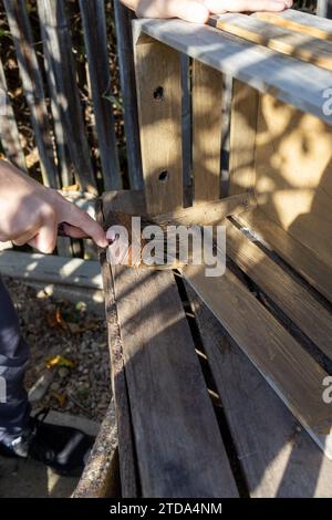 un enfant peint une boîte en bois avec des pinceaux dans le jardin Banque D'Images